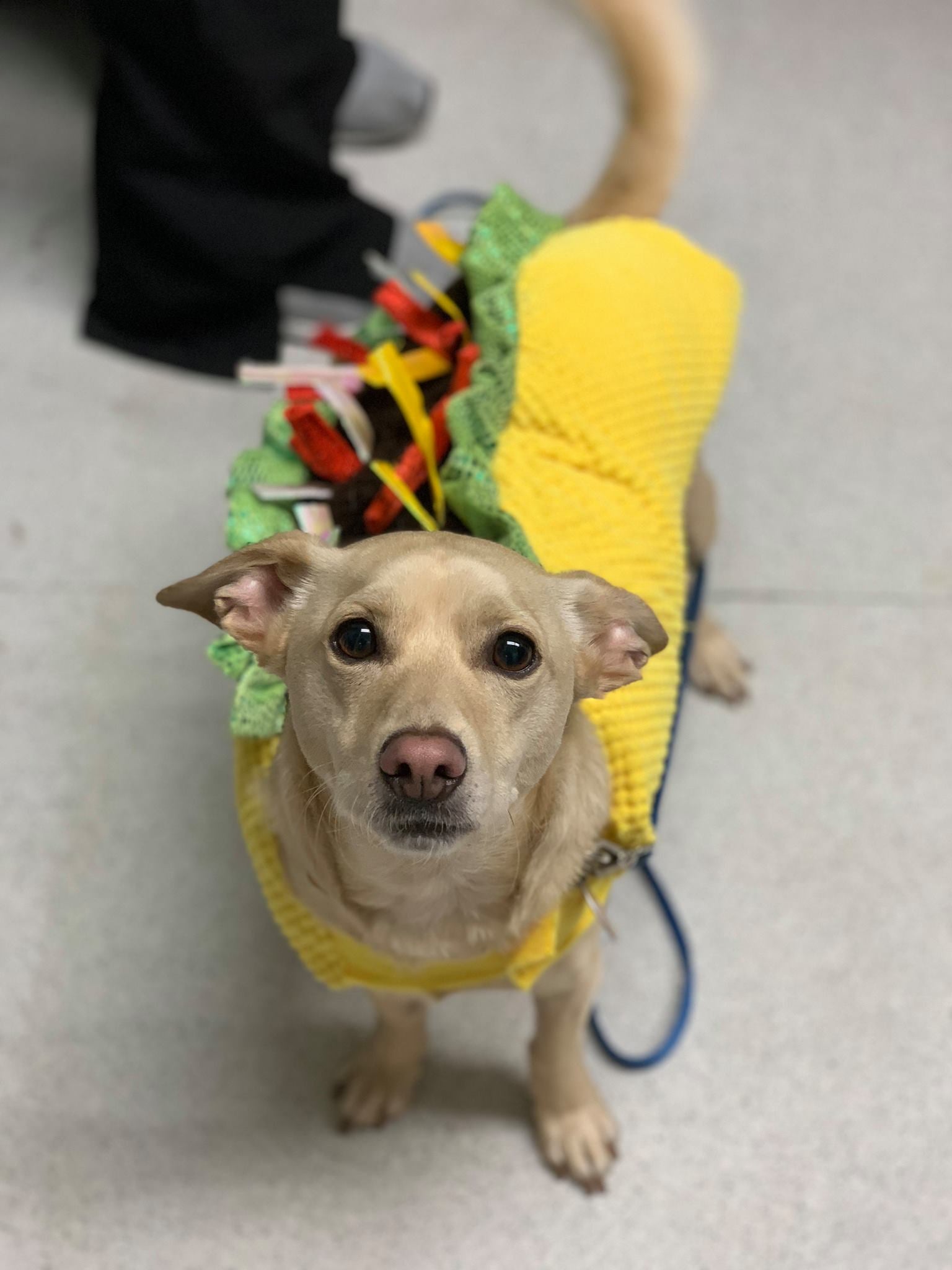 Heritage Veterinary Hospital Santa Rosa, CA